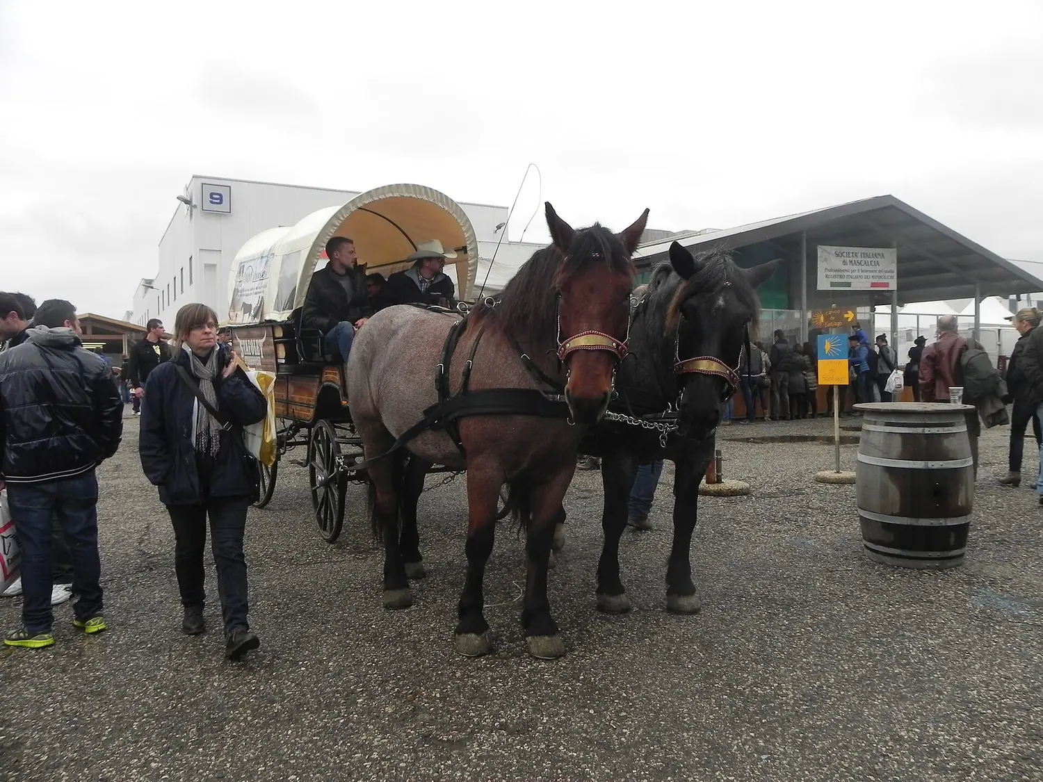 Fieracavalli, Verona