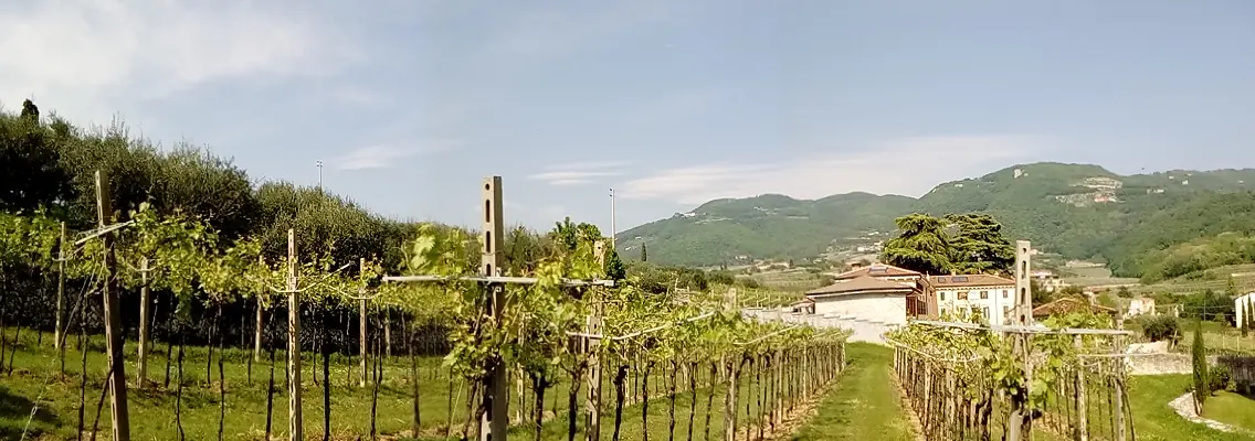 Palio del Recioto e dell’Amarone, Negrar
