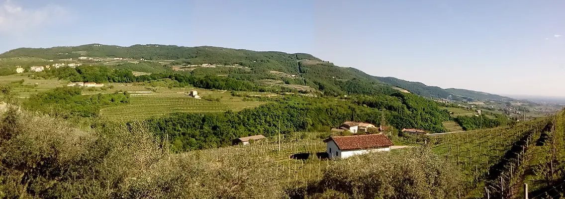 Amarone Opera Prima, Vérone