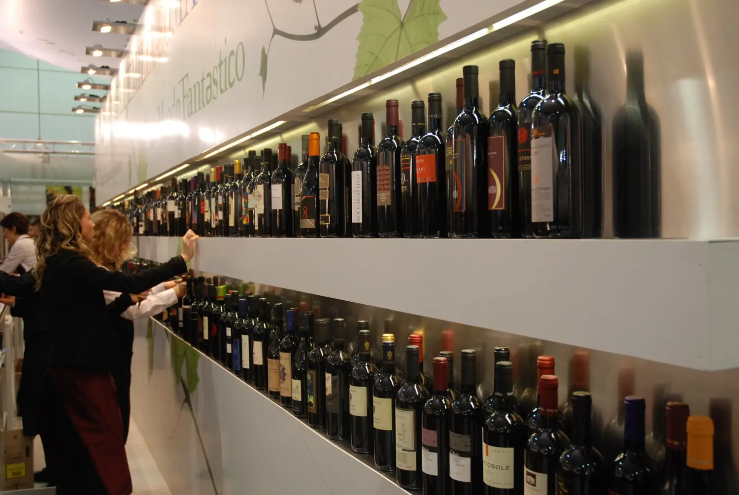 Vinitaly, Verona