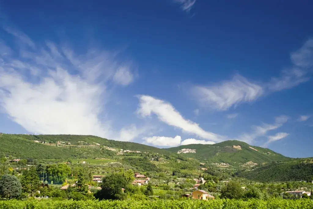 Caves ouvertes en Valpolicella