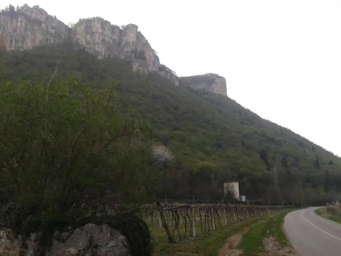 Leichte Wanderung: Monte Moscal (Affi)